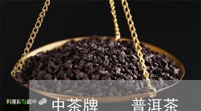 中茶牌  普洱茶/2023031700495